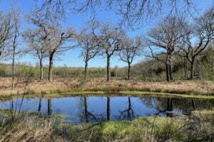 Lees meer over het artikel Weekendje Oranjewoud in Friesland
