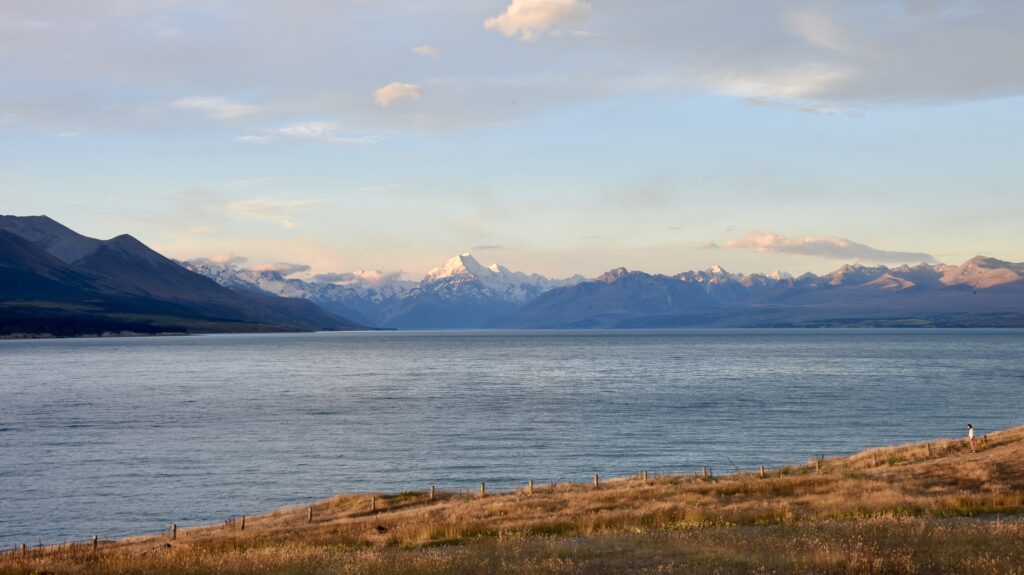View on mount cook from lake pukaki